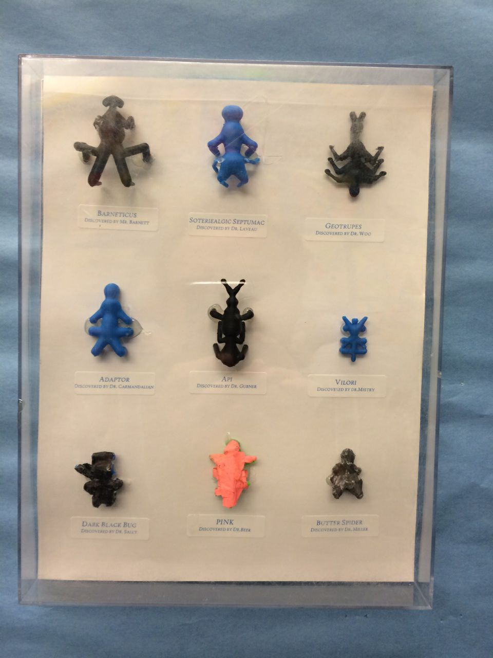 Two Bugs, 3D Printers, and 4th Graders